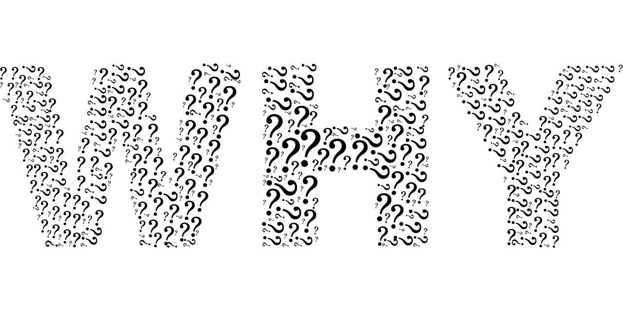 why, question marks, unknown, ask, typography, type, text, words, svg, why, why, why, why, why